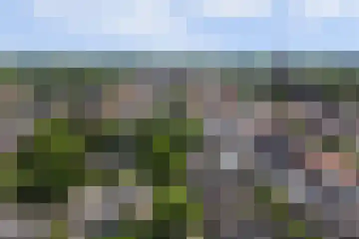 Schuttersweg 44 Hilvarenbeek thumbnail 38