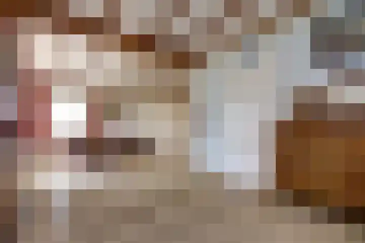 Schuttersweg 44 Hilvarenbeek thumbnail 7
