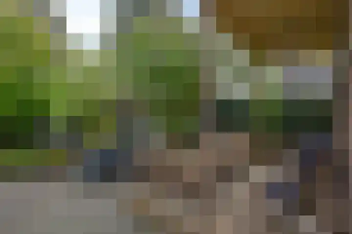 Schuttersweg 46 Apeldoorn thumbnail 28