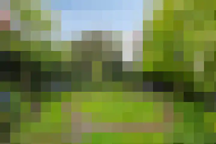 Schuttersweg 46 Apeldoorn thumbnail 30