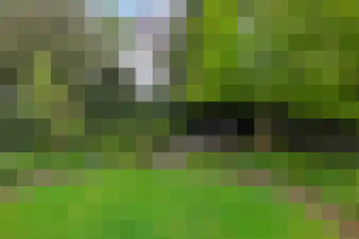 Schuttersweg 46 Apeldoorn thumbnail 32
