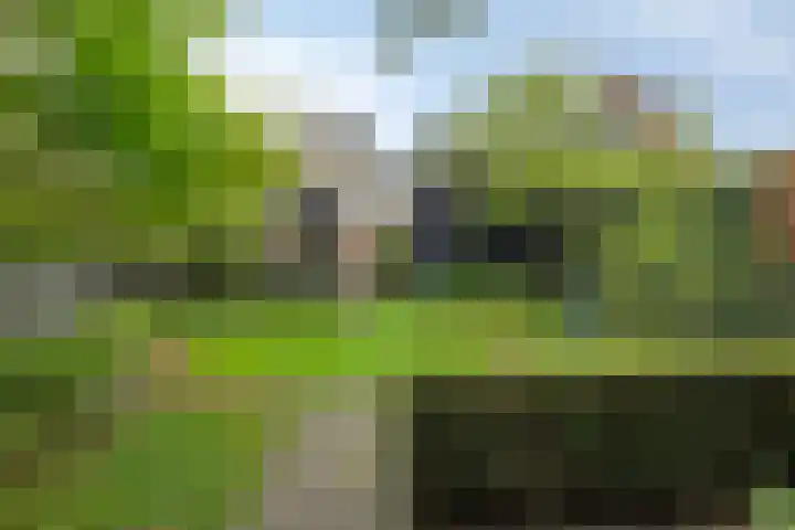 Schuttersweg 46 Apeldoorn thumbnail 33