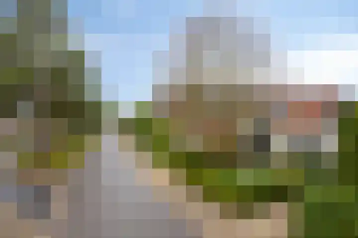 Schuttersweg 46 Apeldoorn thumbnail 40