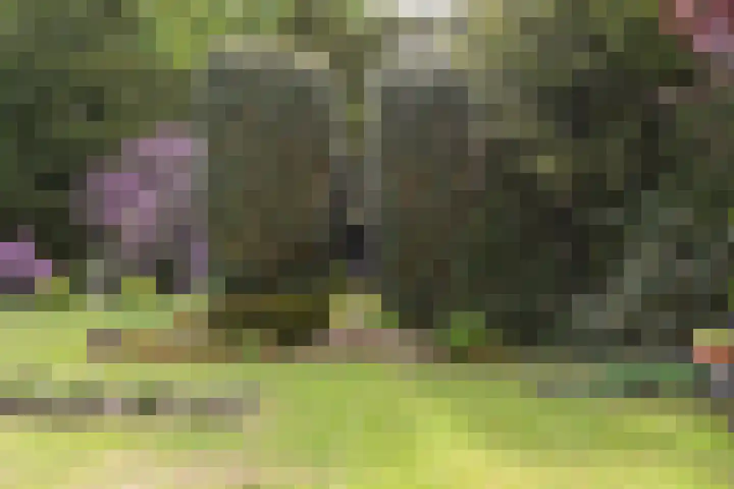 Schuttersweg 50 Hilversum thumbnail 32