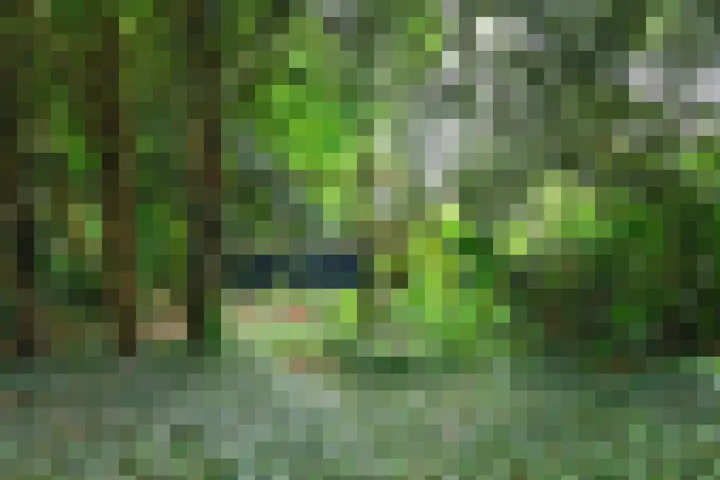 Schuttersweg 50 Hilversum thumbnail 36