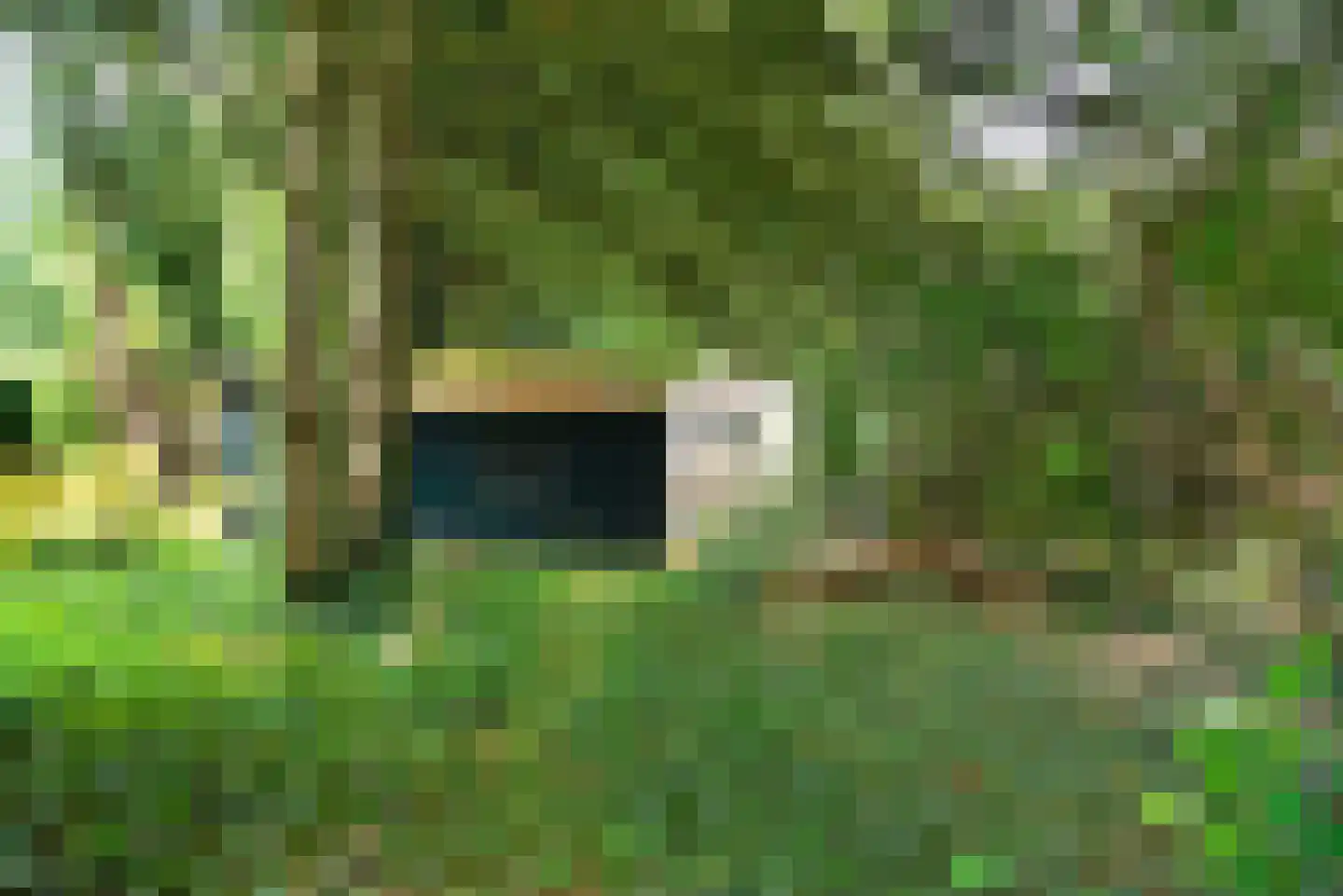 Schuttersweg 50 Hilversum thumbnail 37