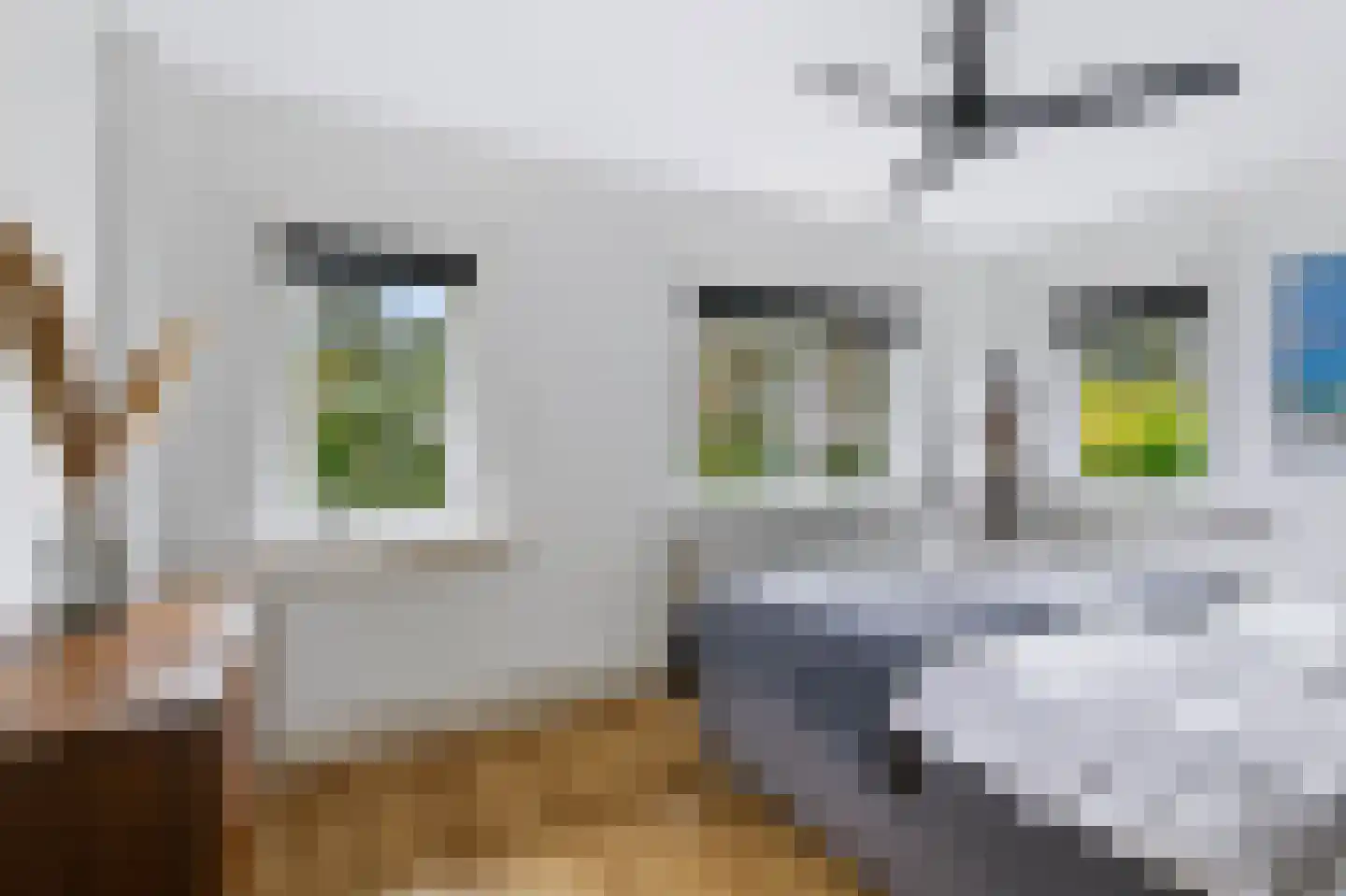 Schuttersweg 63 Apeldoorn thumbnail 22
