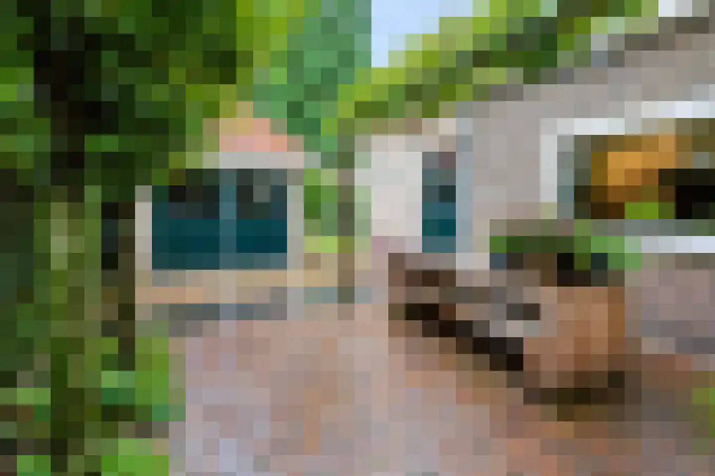 Schuttersweg 63 Apeldoorn thumbnail 32