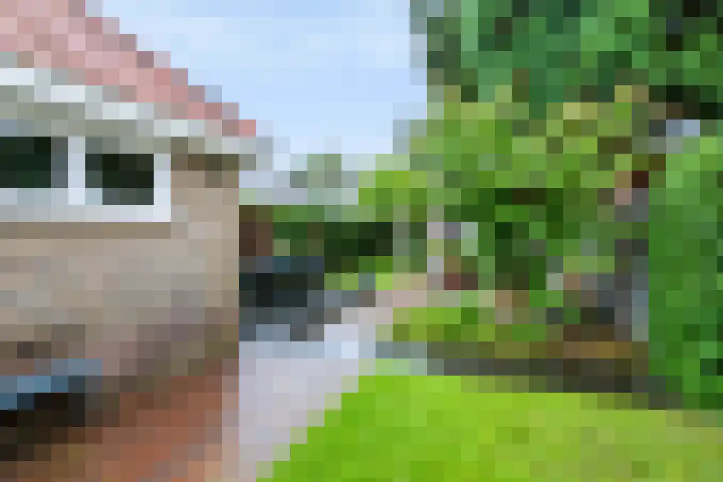 Schuttersweg 63 Apeldoorn thumbnail 33