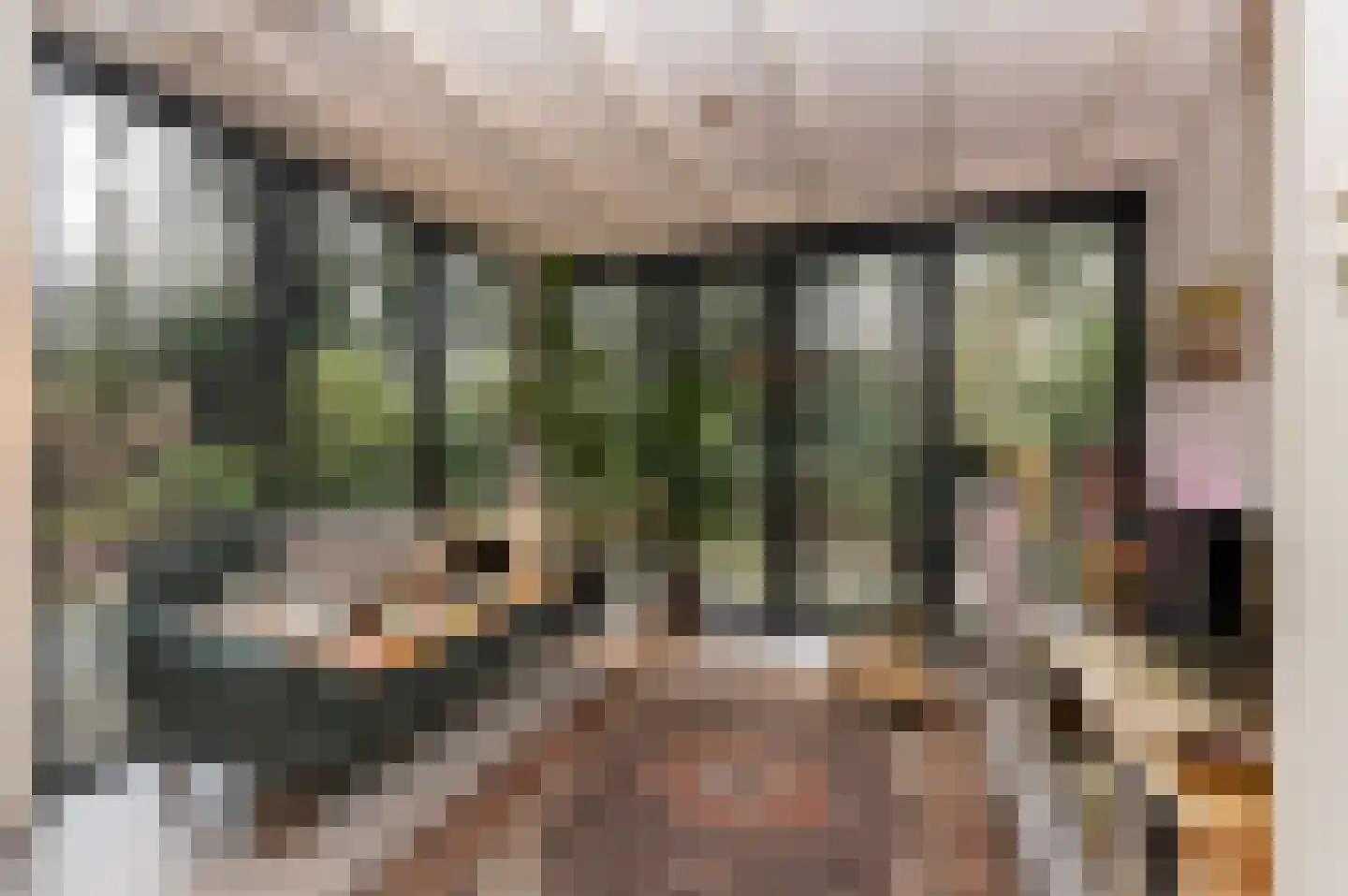 Schuttersweg 7 Mook thumbnail 11
