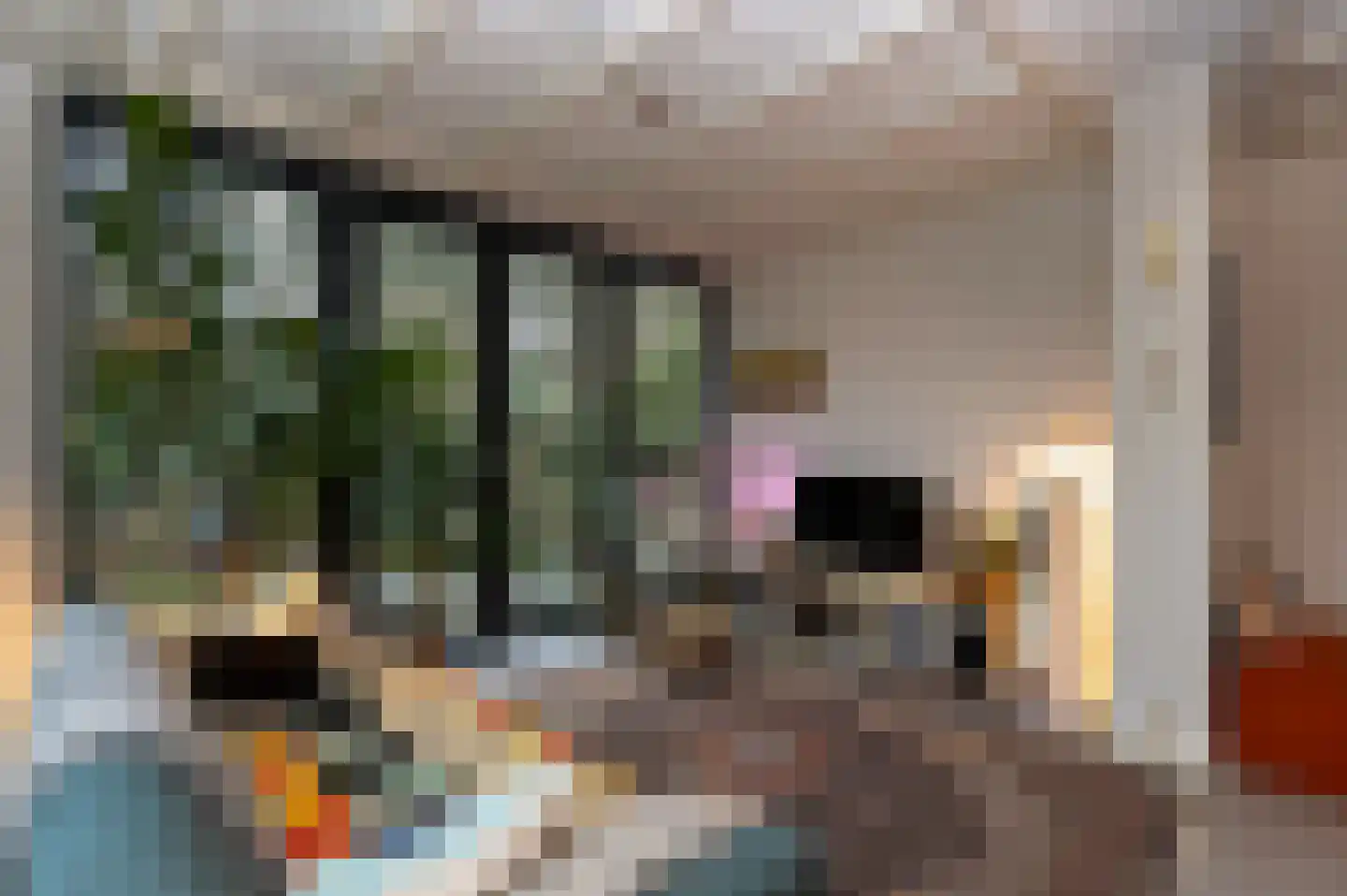 Schuttersweg 7 Mook thumbnail 12