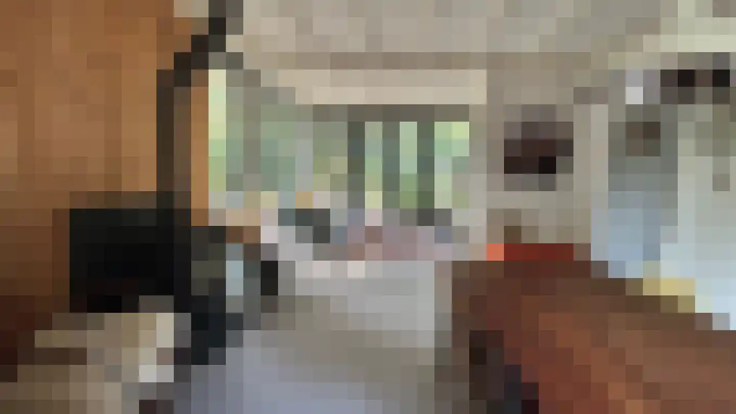 Schuttersweg 7 Mook thumbnail 14