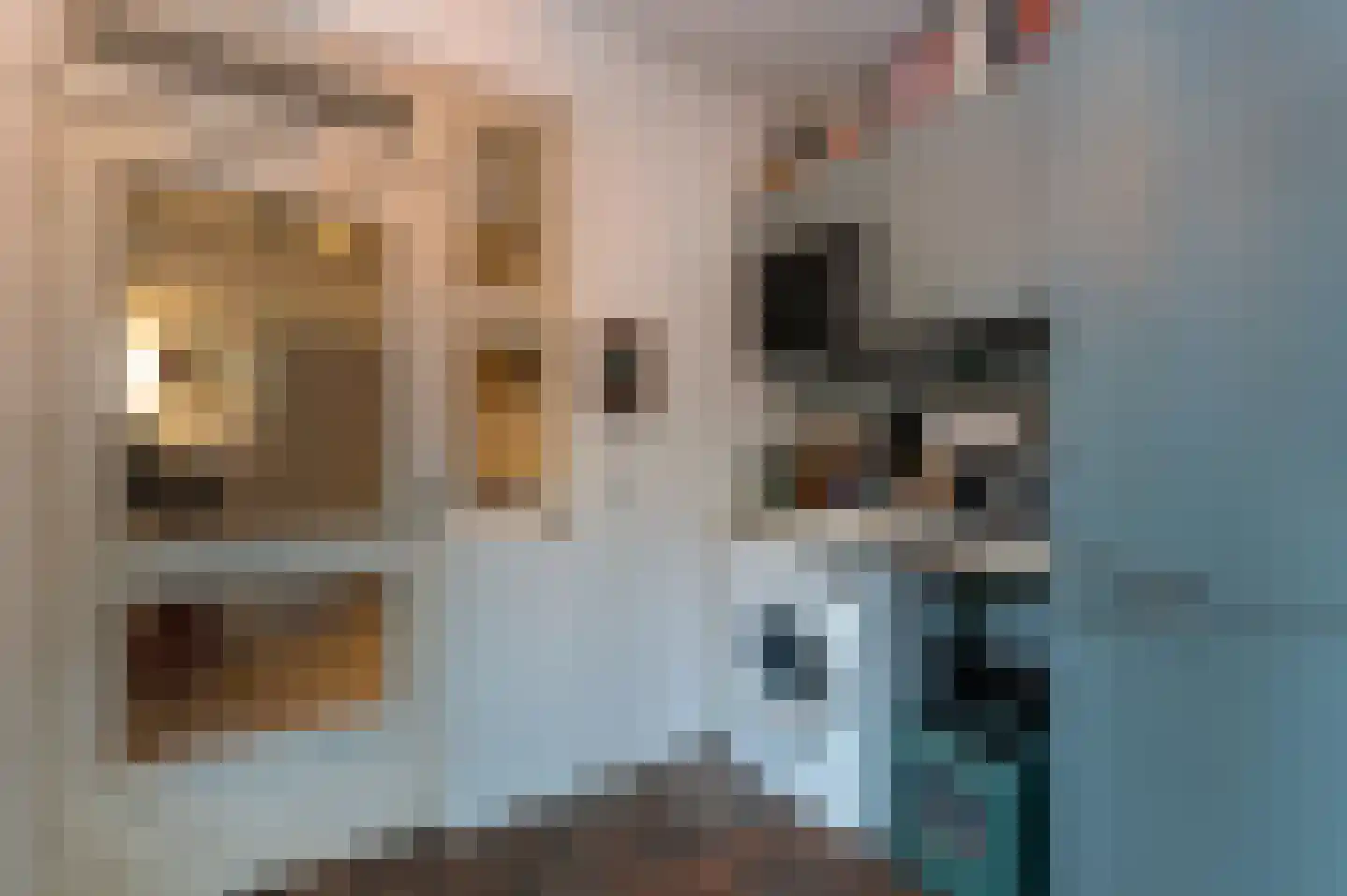 Schuttersweg 7 Mook thumbnail 17