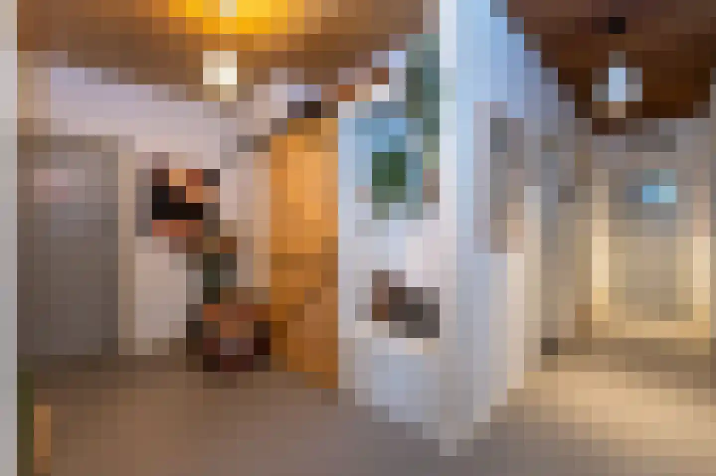 Schuttersweg 7 Mook thumbnail 18