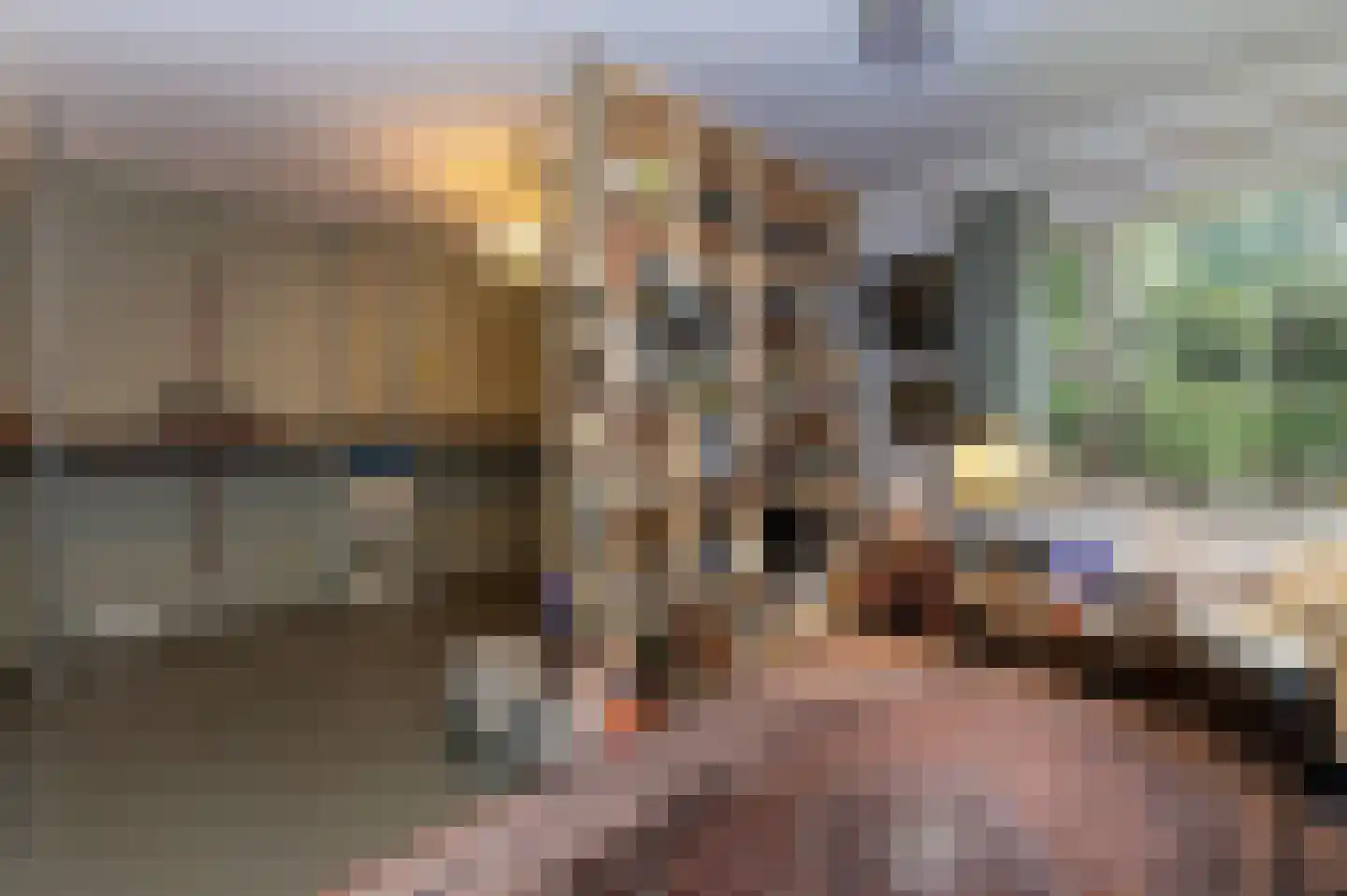 Schuttersweg 7 Mook thumbnail 24