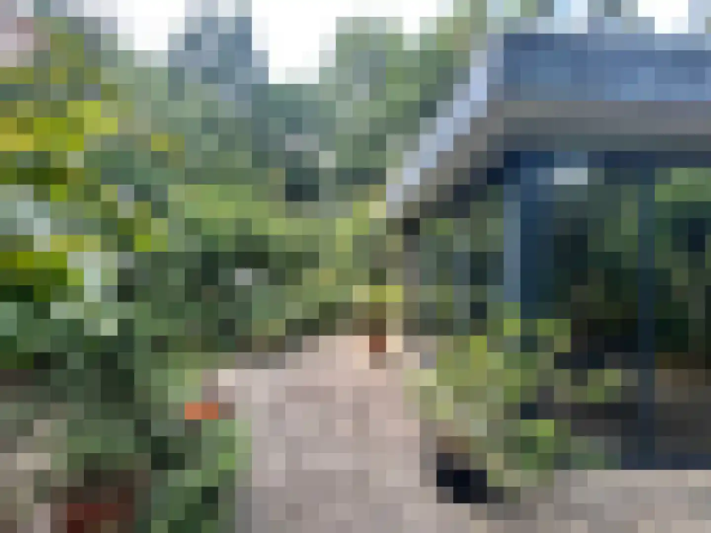 Schuttersweg 7 Mook thumbnail 29