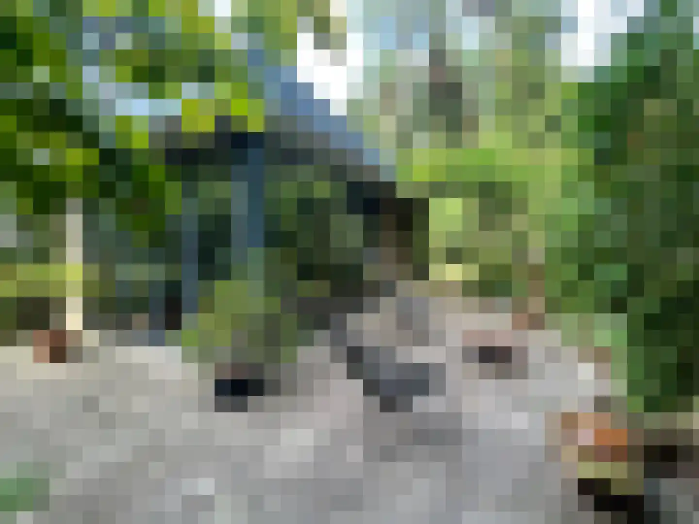 Schuttersweg 7 Mook thumbnail 30