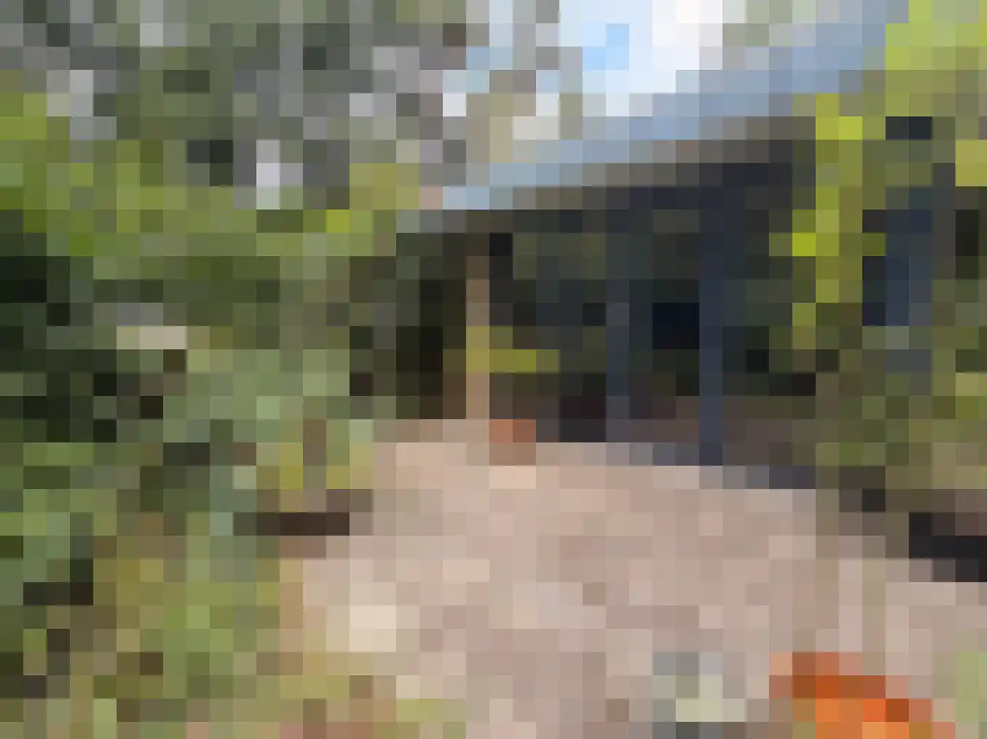 Schuttersweg 7 Mook thumbnail 31