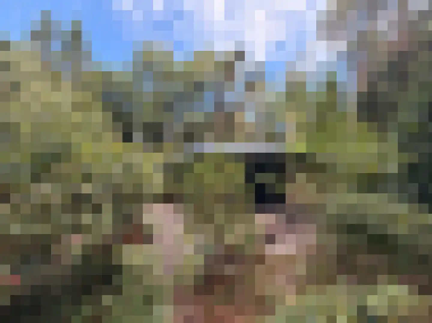 Schuttersweg 7 Mook thumbnail 32