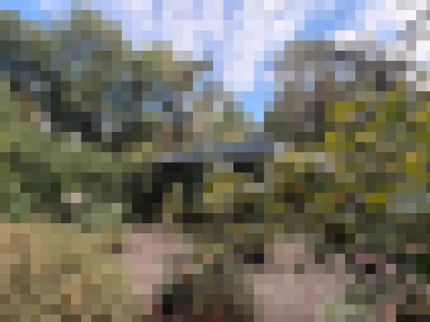 Schuttersweg 7 Mook thumbnail 33