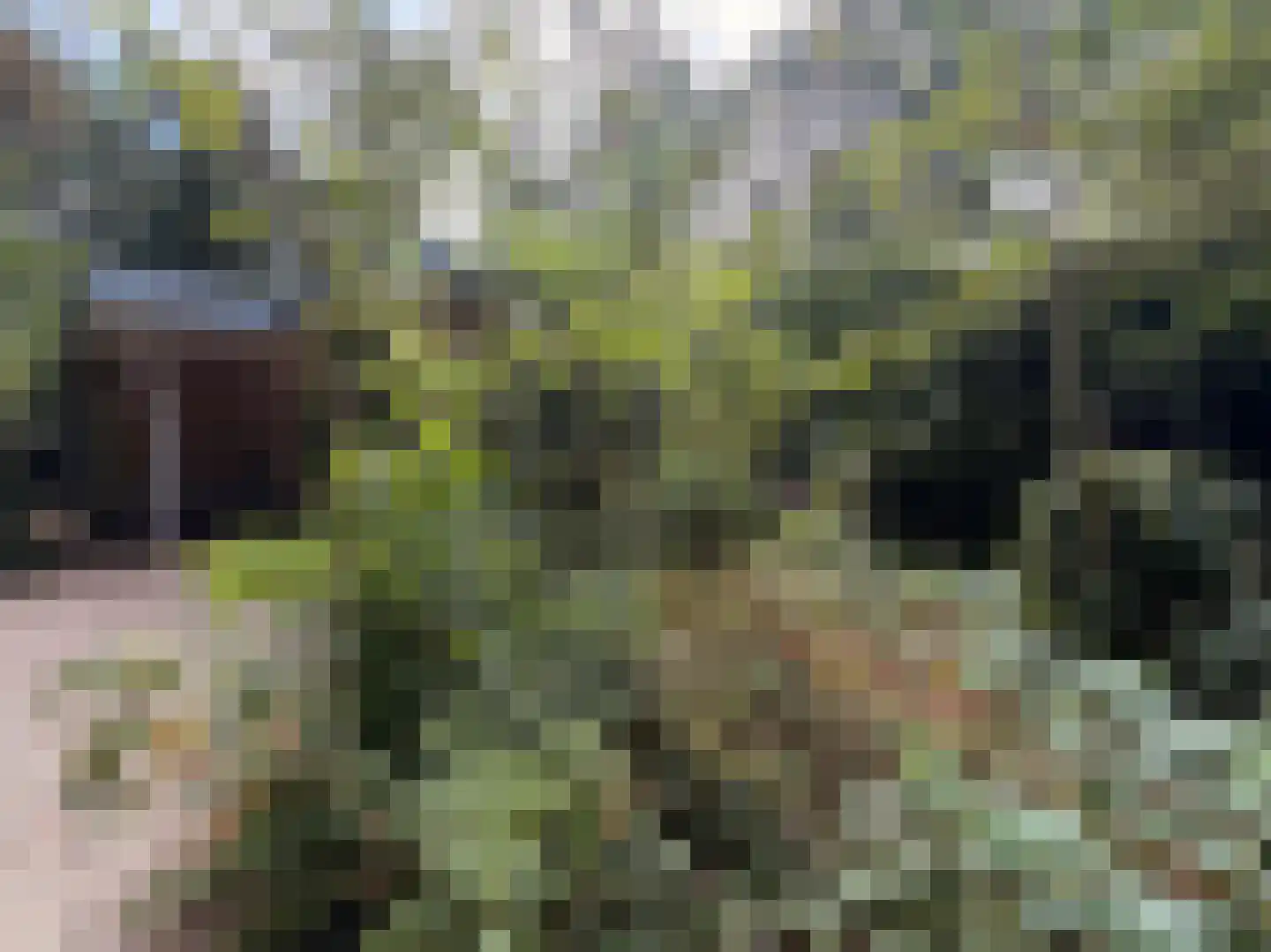 Schuttersweg 7 Mook thumbnail 34