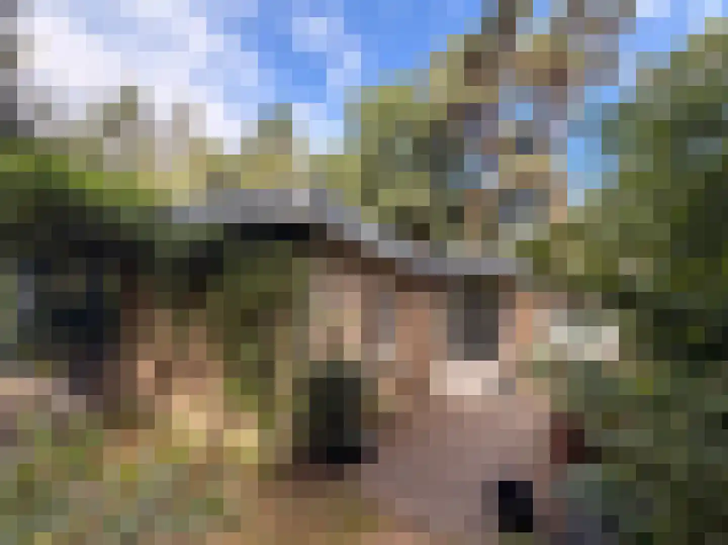 Schuttersweg 7 Mook thumbnail 35