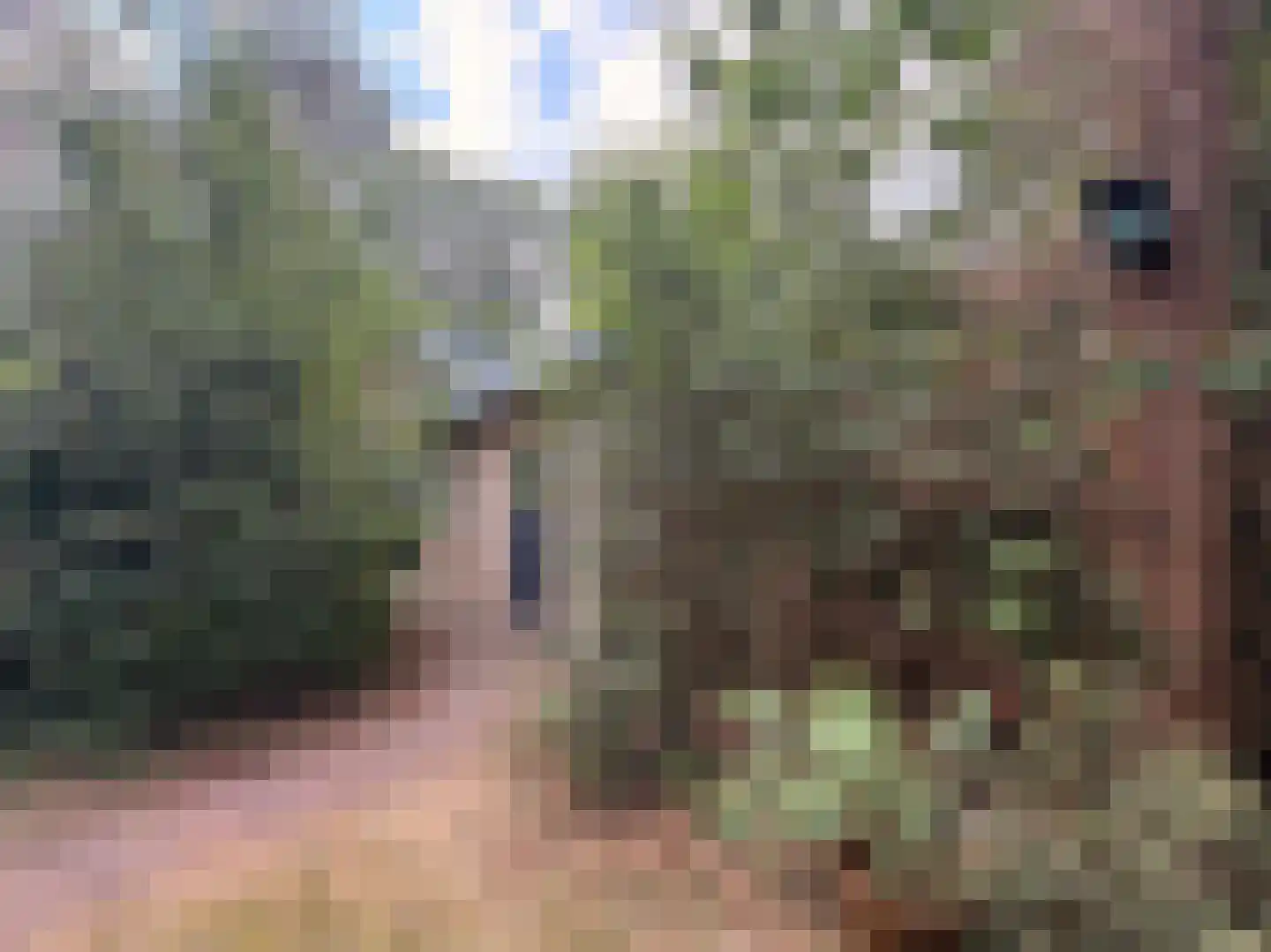 Schuttersweg 7 Mook thumbnail 36