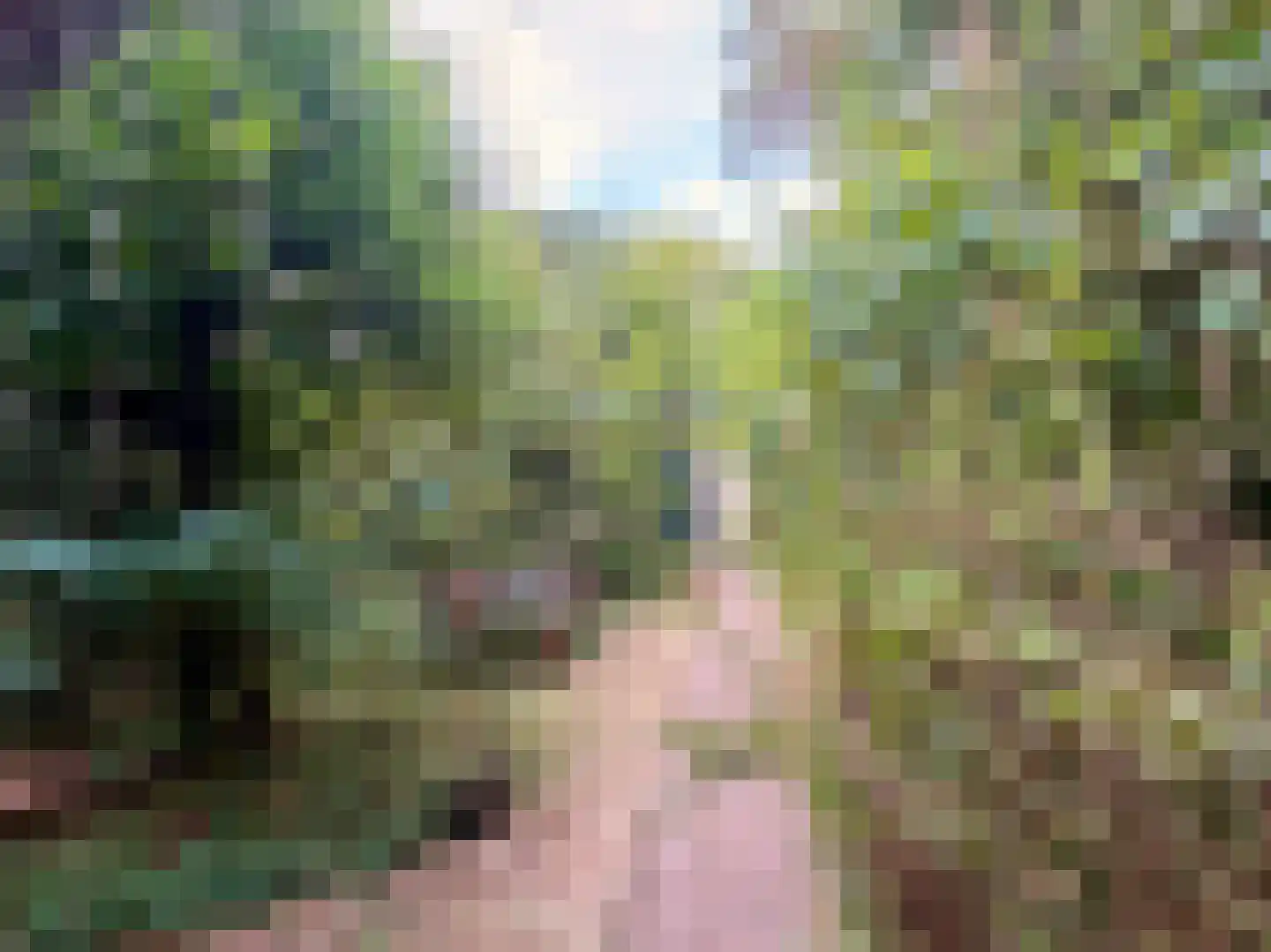 Schuttersweg 7 Mook thumbnail 37