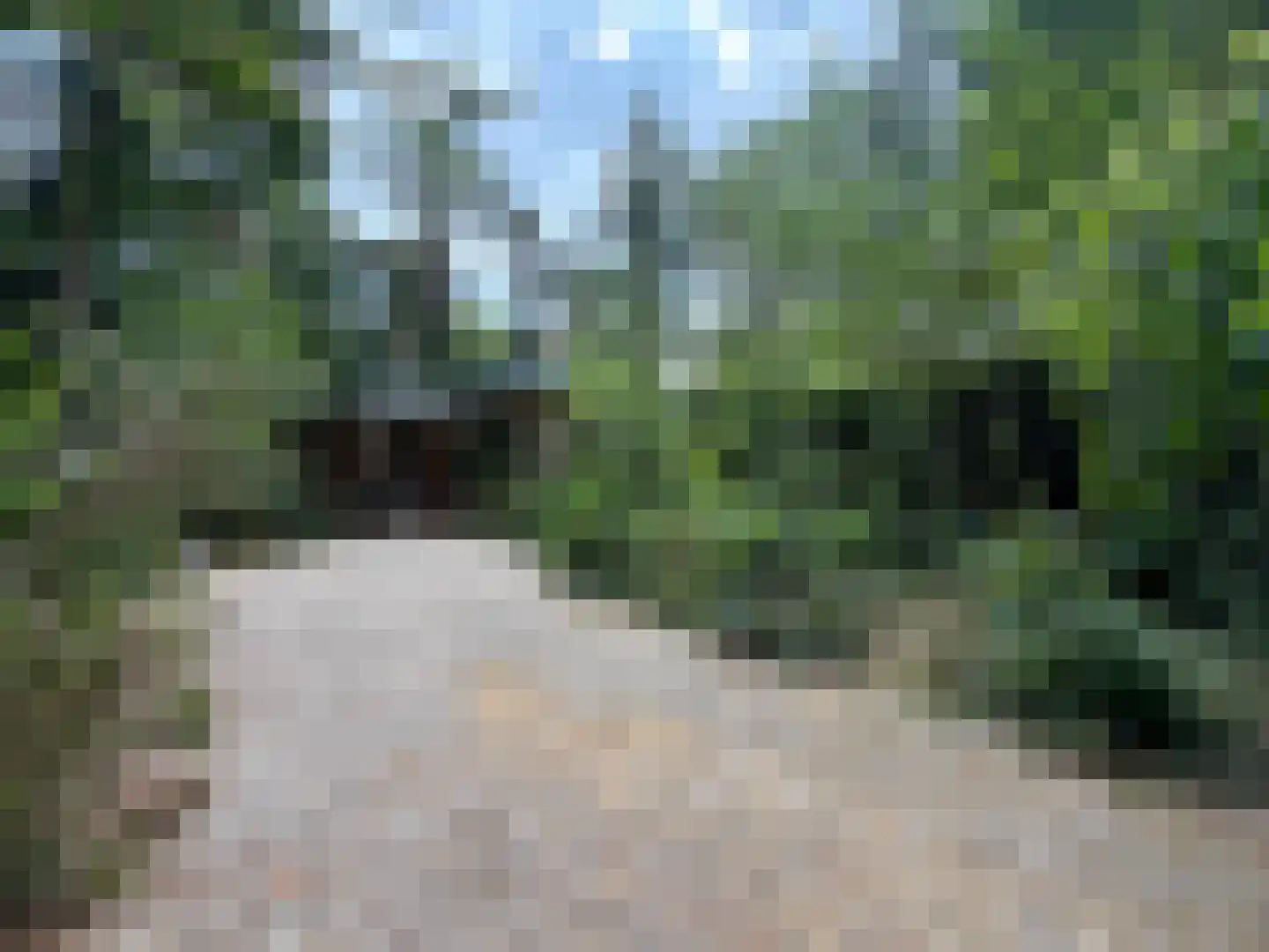 Schuttersweg 7 Mook thumbnail 38