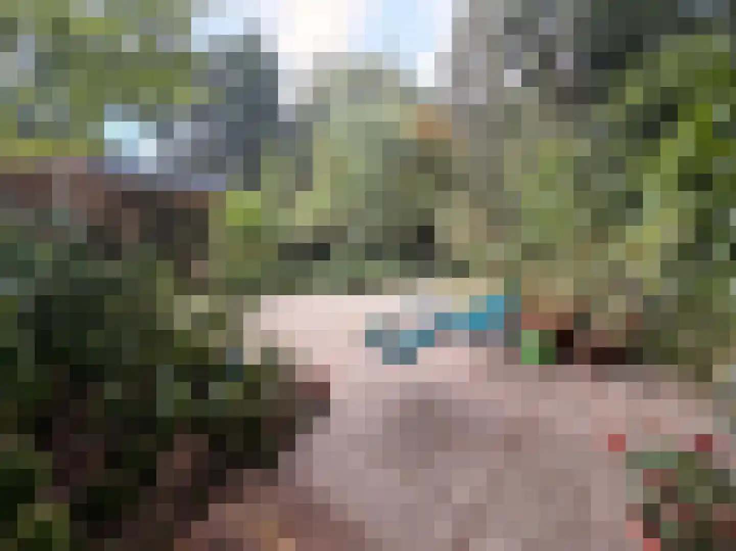 Schuttersweg 7 Mook thumbnail 39
