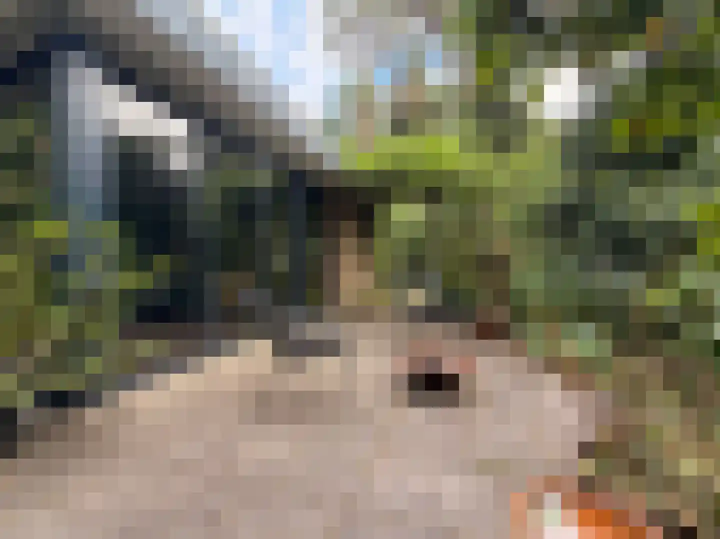 Schuttersweg 7 Mook thumbnail 4