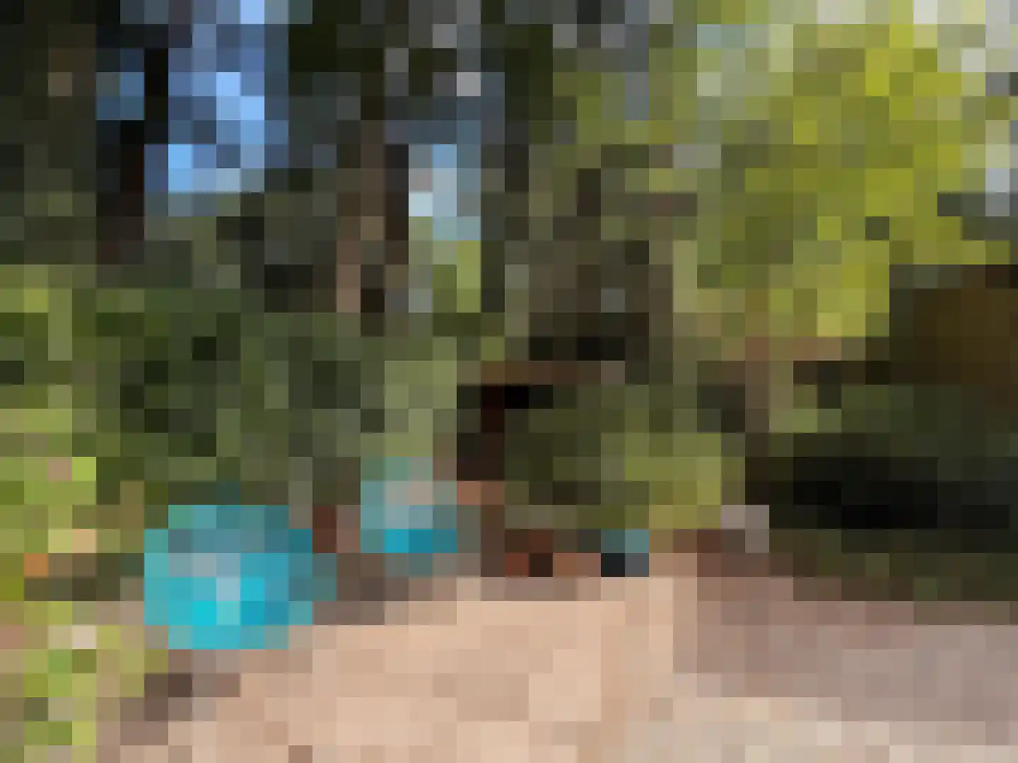 Schuttersweg 7 Mook thumbnail 41