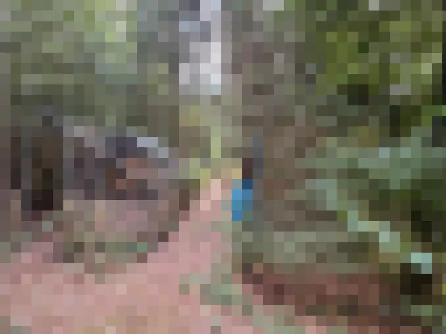 Schuttersweg 7 Mook thumbnail 43