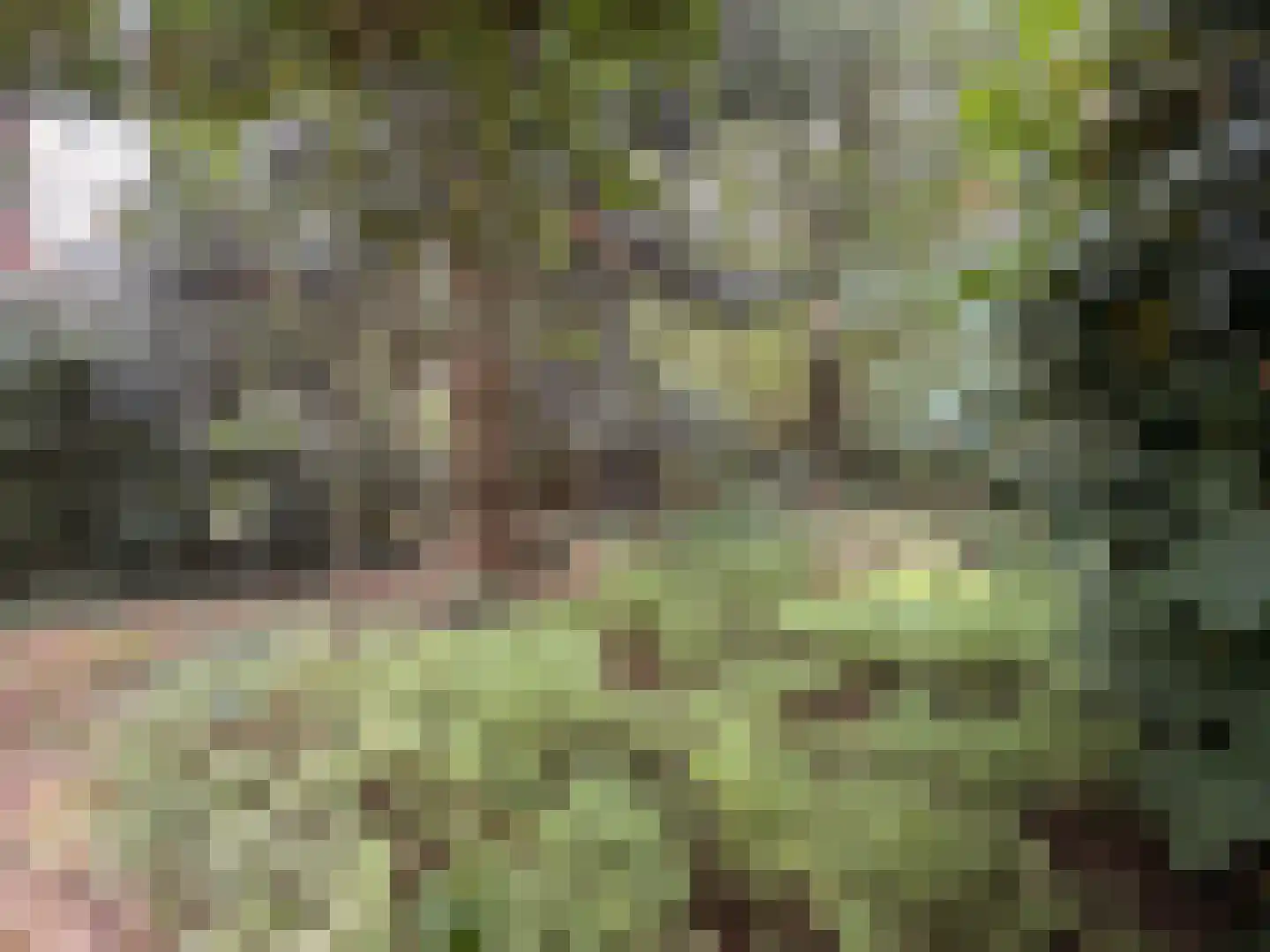 Schuttersweg 7 Mook thumbnail 44