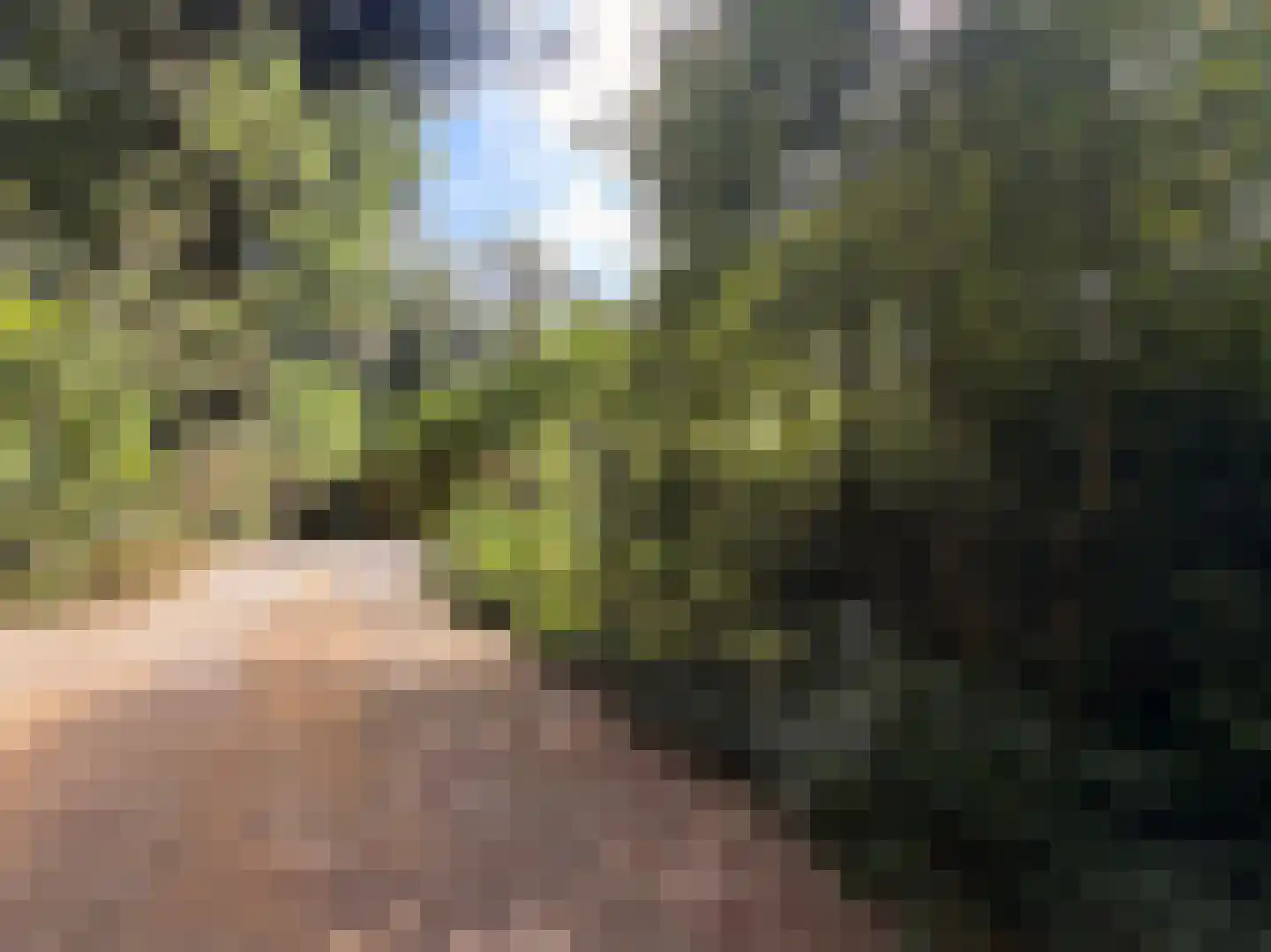 Schuttersweg 7 Mook thumbnail 45