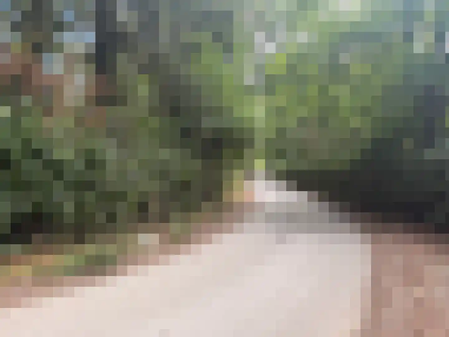 Schuttersweg 7 Mook thumbnail 47