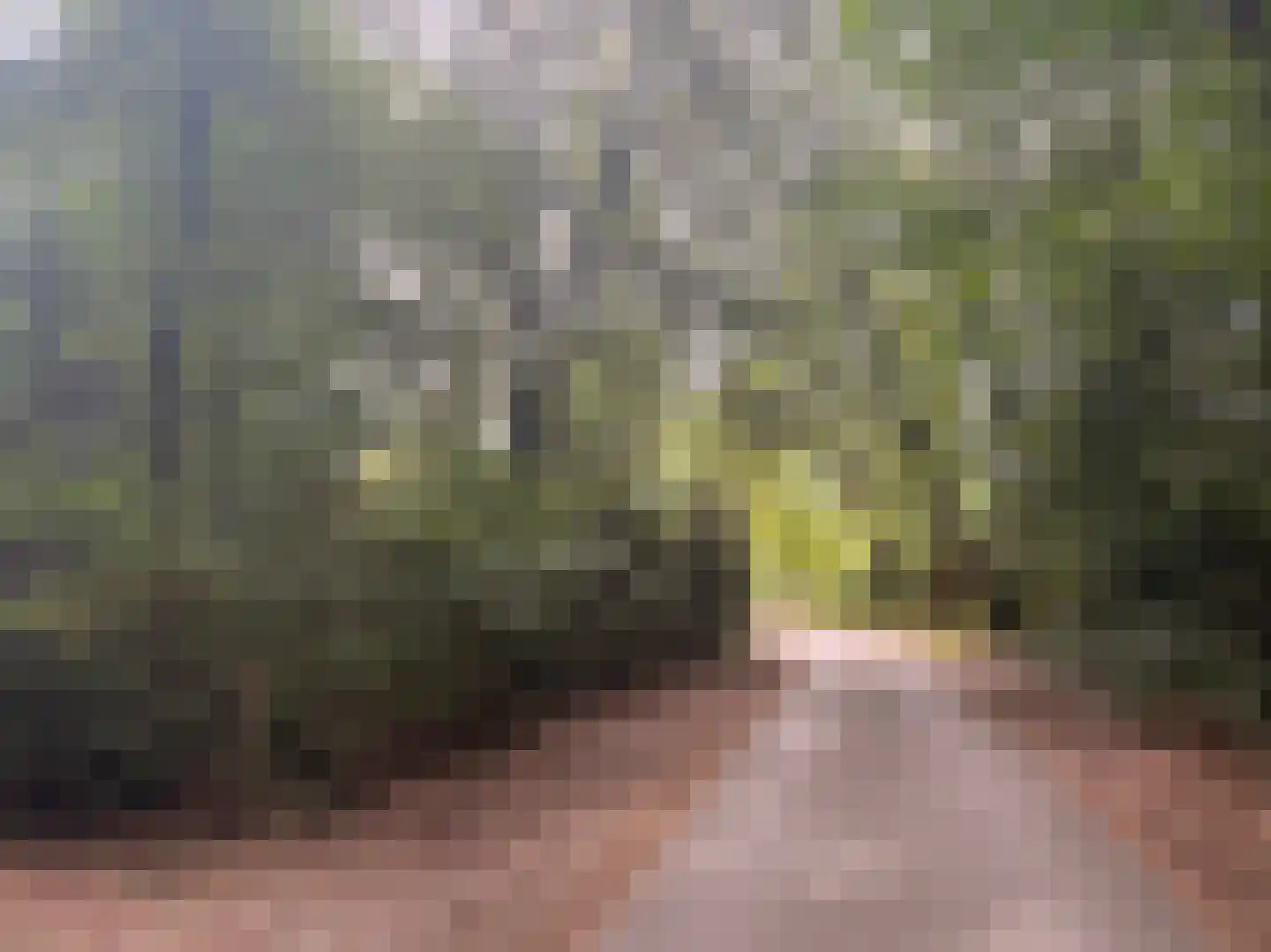 Schuttersweg 7 Mook thumbnail 48
