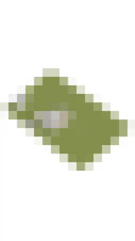 Schuttersweg 7 Mook thumbnail 52