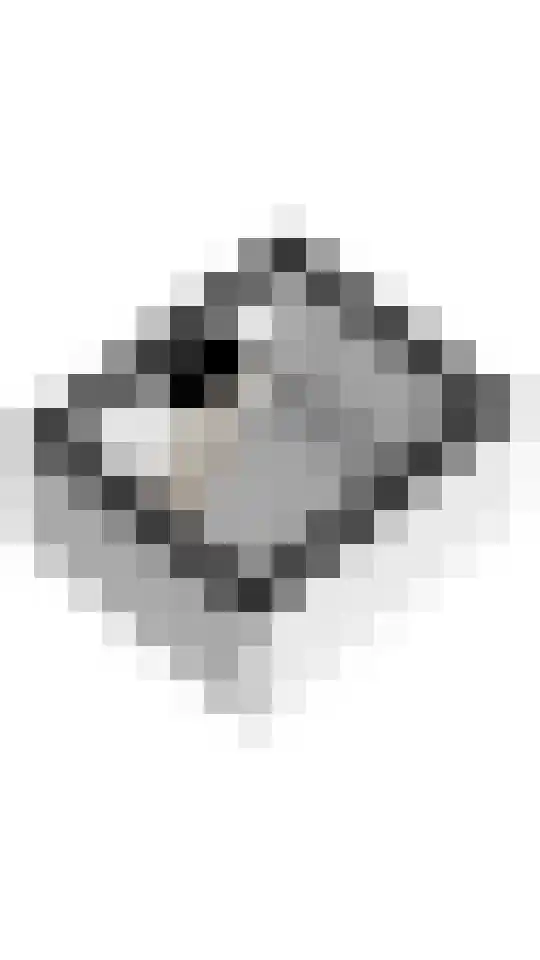 Schuttersweg 7 Mook thumbnail 54