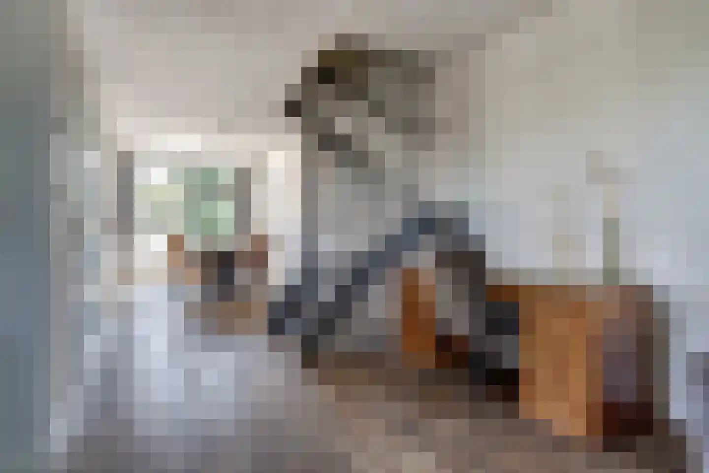 Schuttersweg 8 Hilvarenbeek thumbnail 14