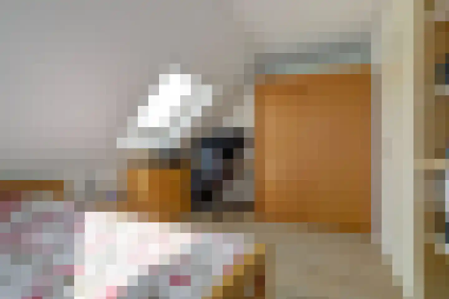 Schuttersweg 8 Hilvarenbeek thumbnail 18