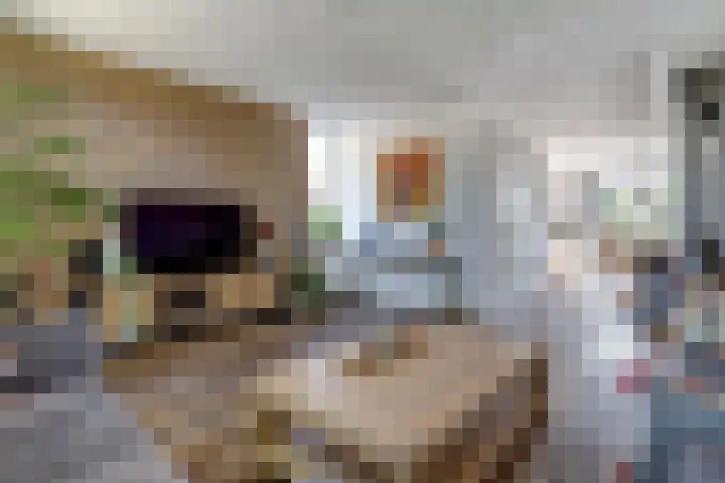 Schuttersweg 8 Hilvarenbeek thumbnail 4