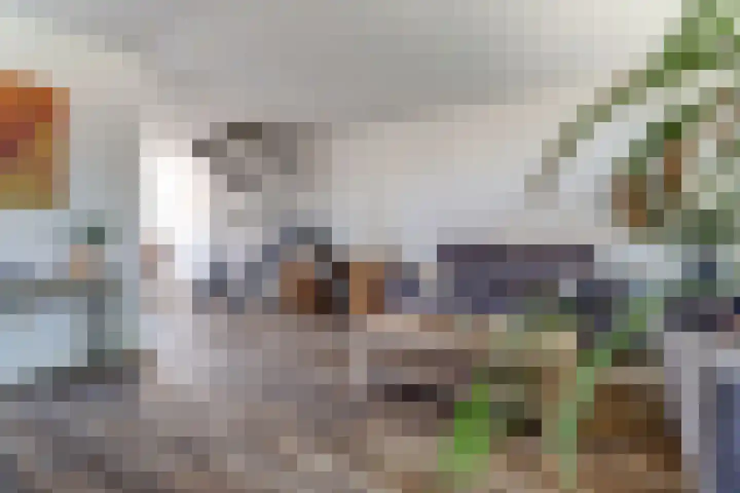 Schuttersweg 8 Hilvarenbeek thumbnail 6