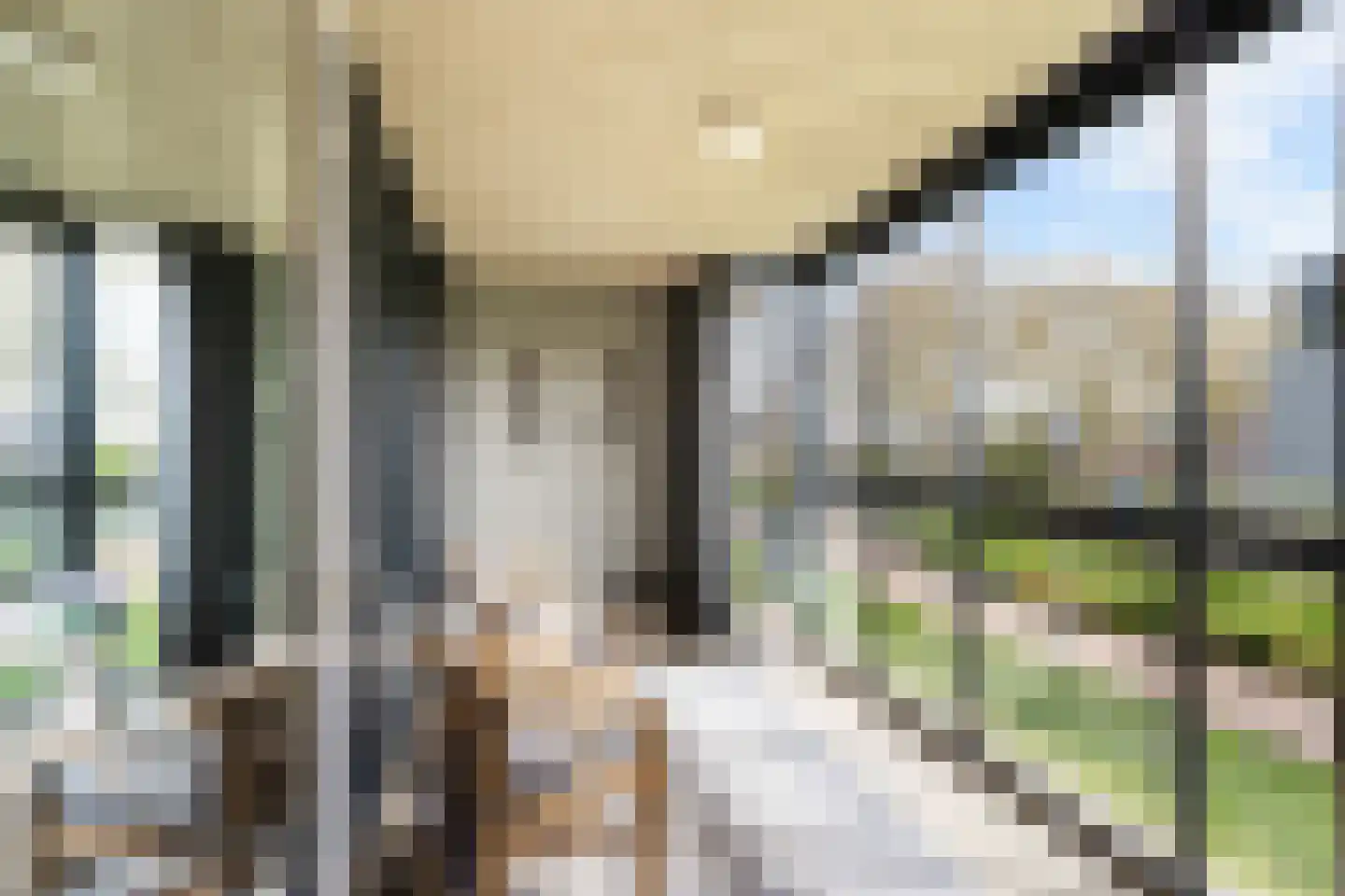 Schuttersweg 80 Zevenbergen thumbnail 41