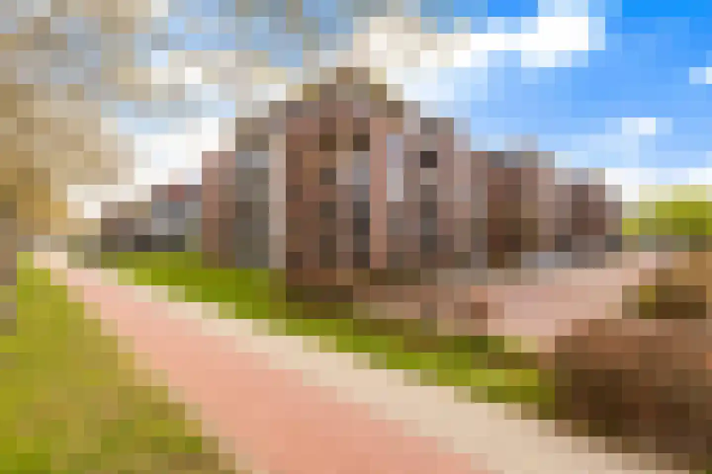 Schuttersweg 80 Zevenbergen thumbnail 48