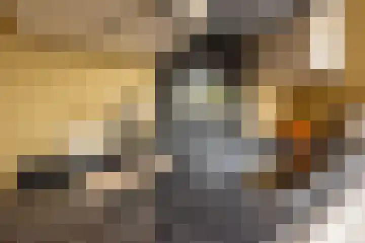 Schuttersweg 81 Ulft thumbnail 10
