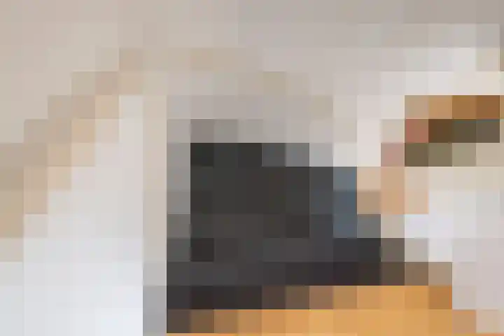 Schuttersweg 81 Ulft thumbnail 20