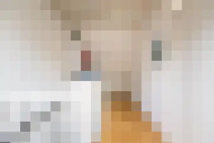 Schuttersweg 81 Ulft thumbnail 31