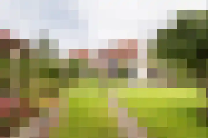 Schuttersweg 81 Ulft thumbnail 36