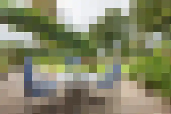 Schuttersweg 81 Ulft thumbnail 37